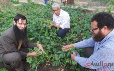 حزب النور يكتشف نباتًا ينتج بطاطس وطماطم