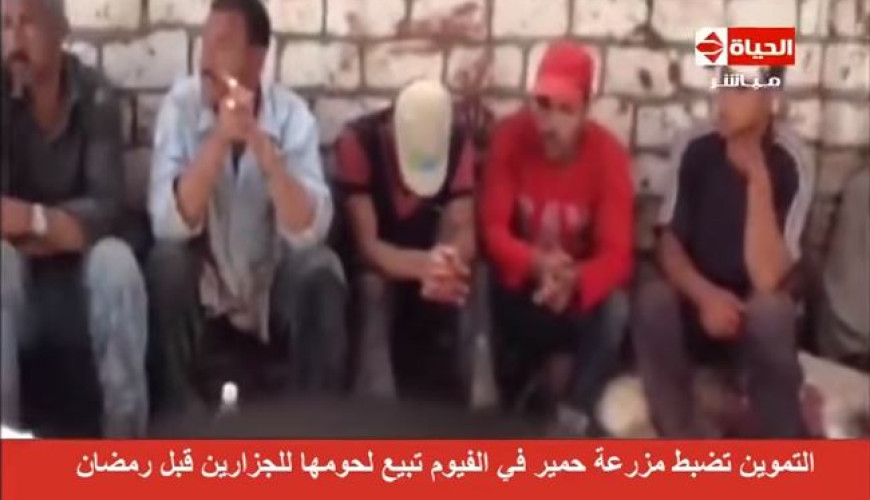 حقيقة فيديو ضبط مزرعة لبيع لحم الحمير في مصر